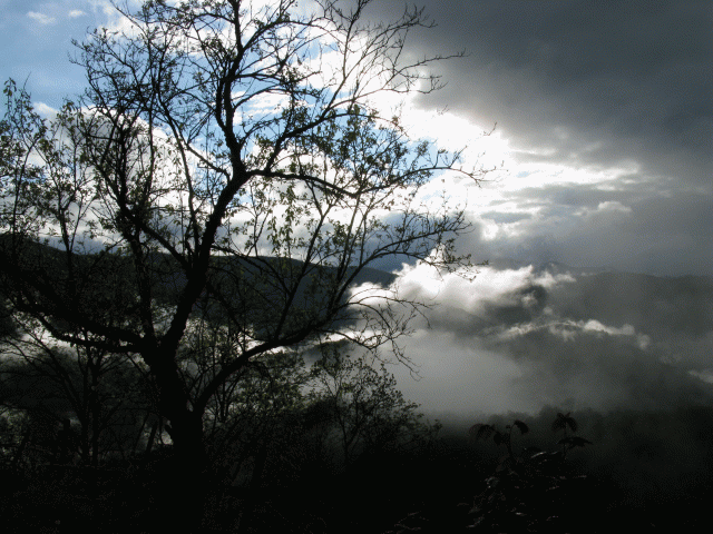 Nuvole nella valle 2