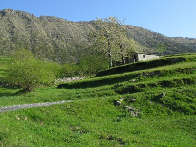 Piani di Cichero - Partenza