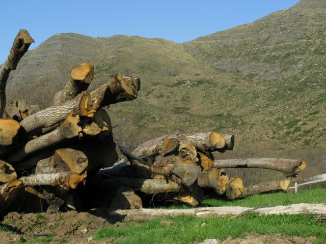 Prati di Cichero - Catasta di legna