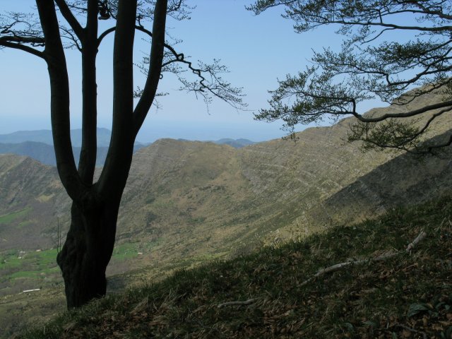 Panorama sulla cresta