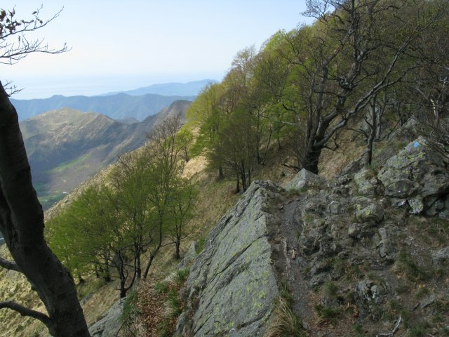 Immagine del sentiero