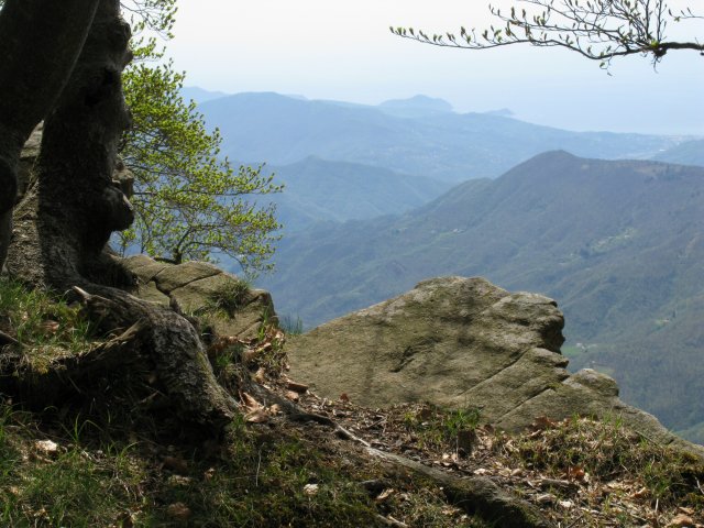Roccia sul panorama