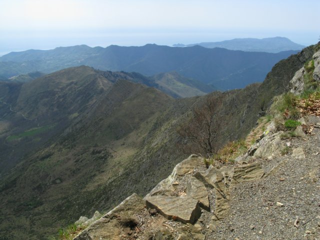 Panorama in cresta