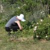 Ludvine al lavoro in giardino