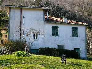 Vista della casa